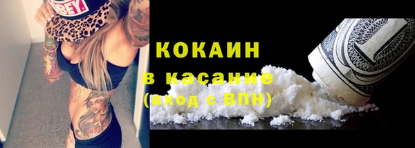 спиды Богданович