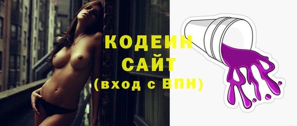 ПСИЛОЦИБИНОВЫЕ ГРИБЫ Ельня