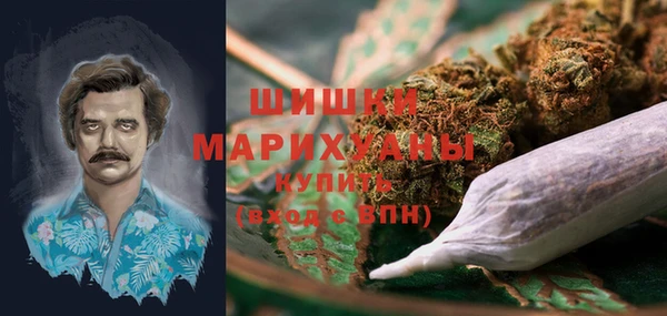 спиды Богданович